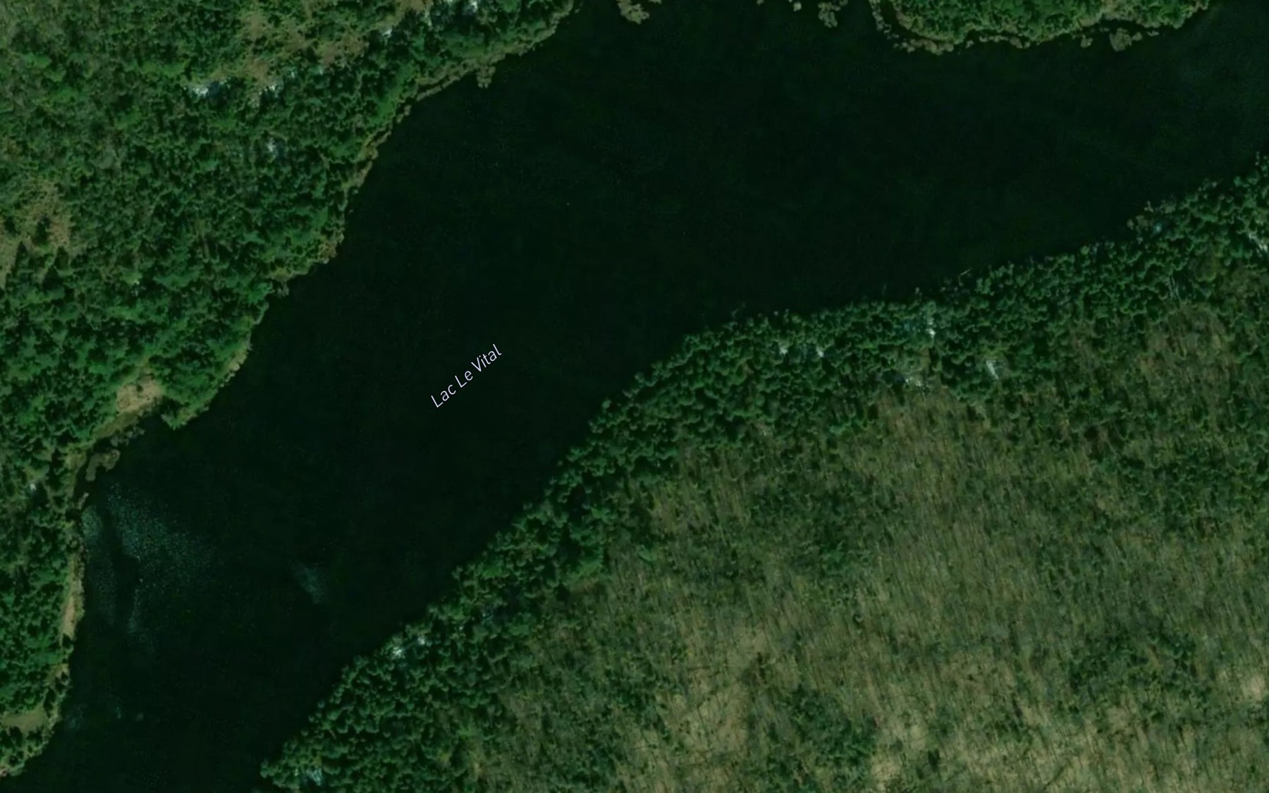Satellite map of the Lac Le Vital
