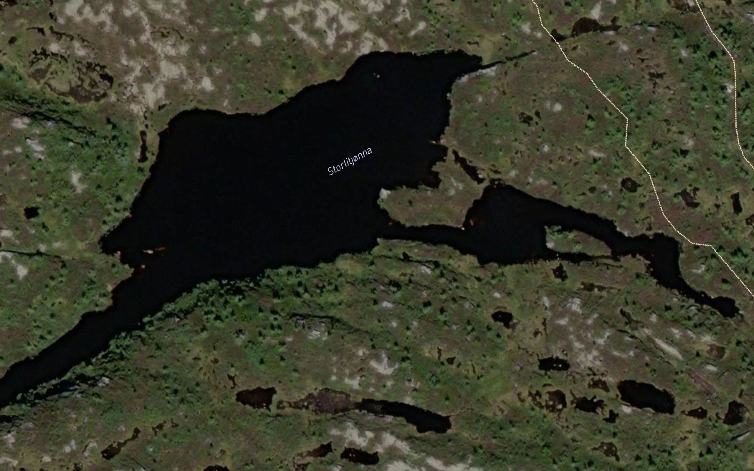 Storlitjorna