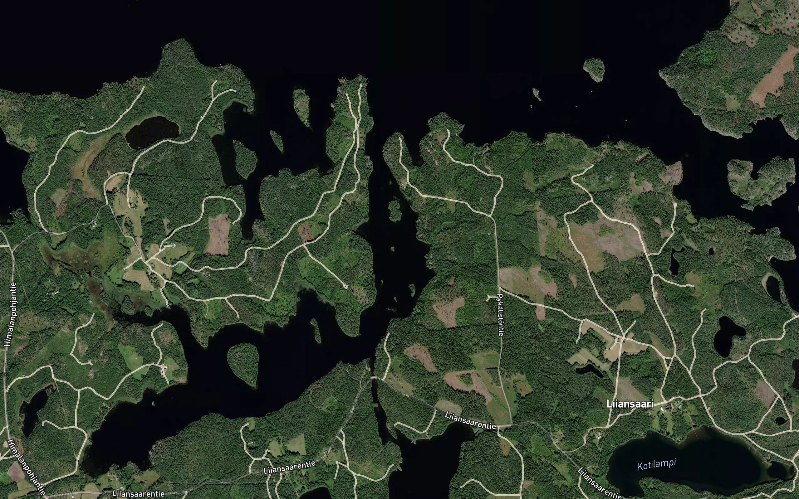 Aukionsalmi