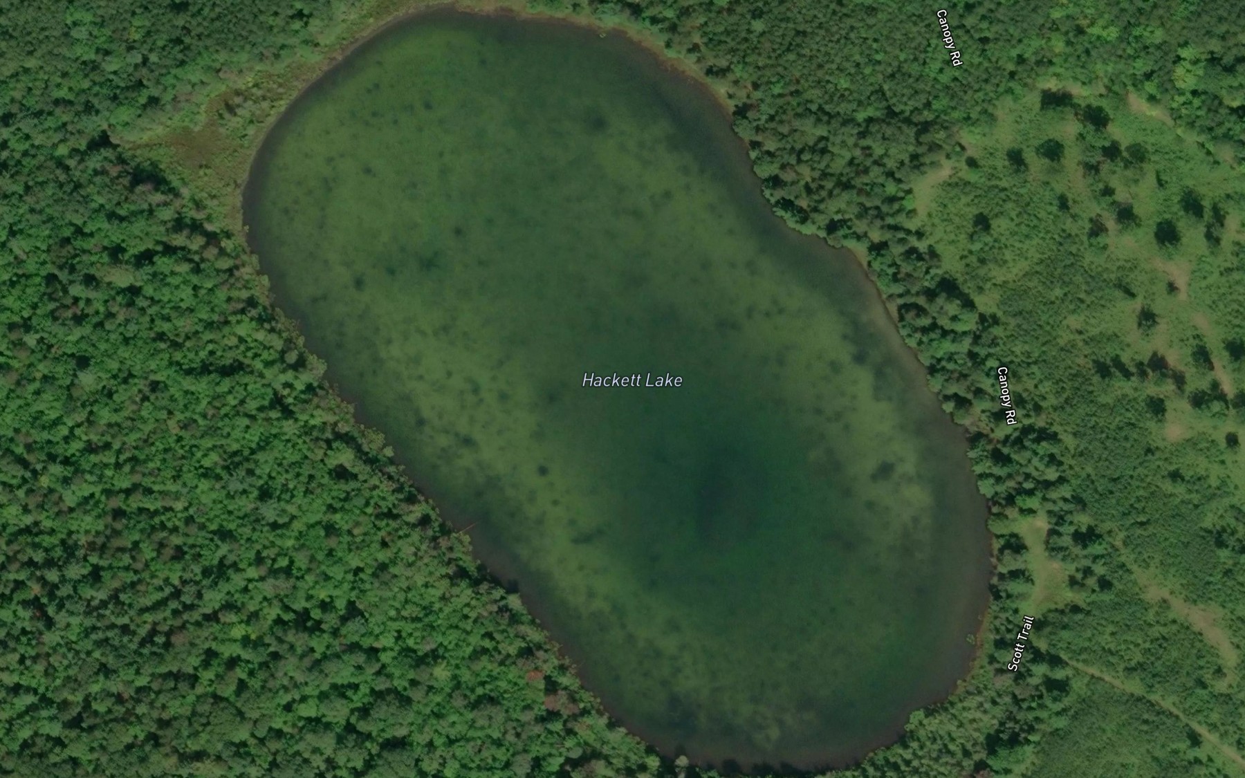 Satellite map of the Hackett Lake
