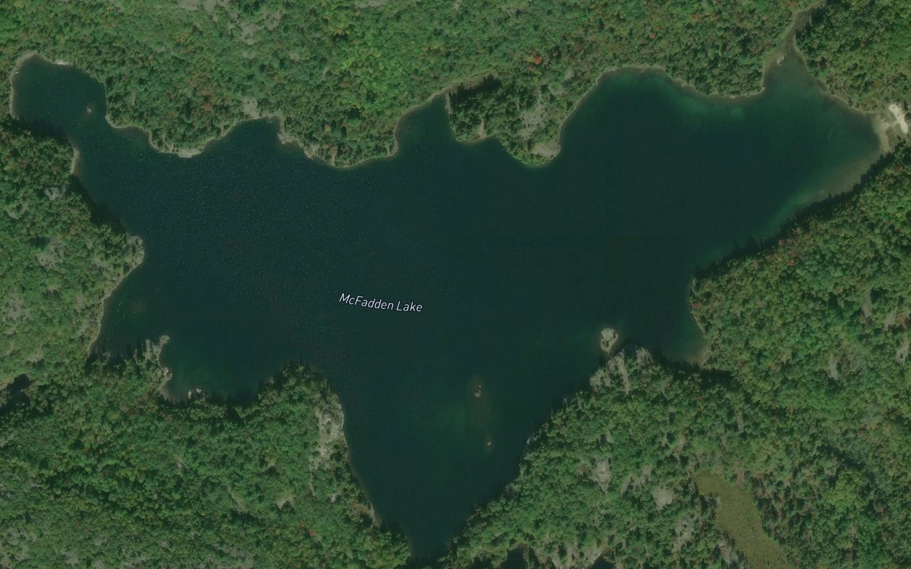 Satellite map of the McFadden Lake