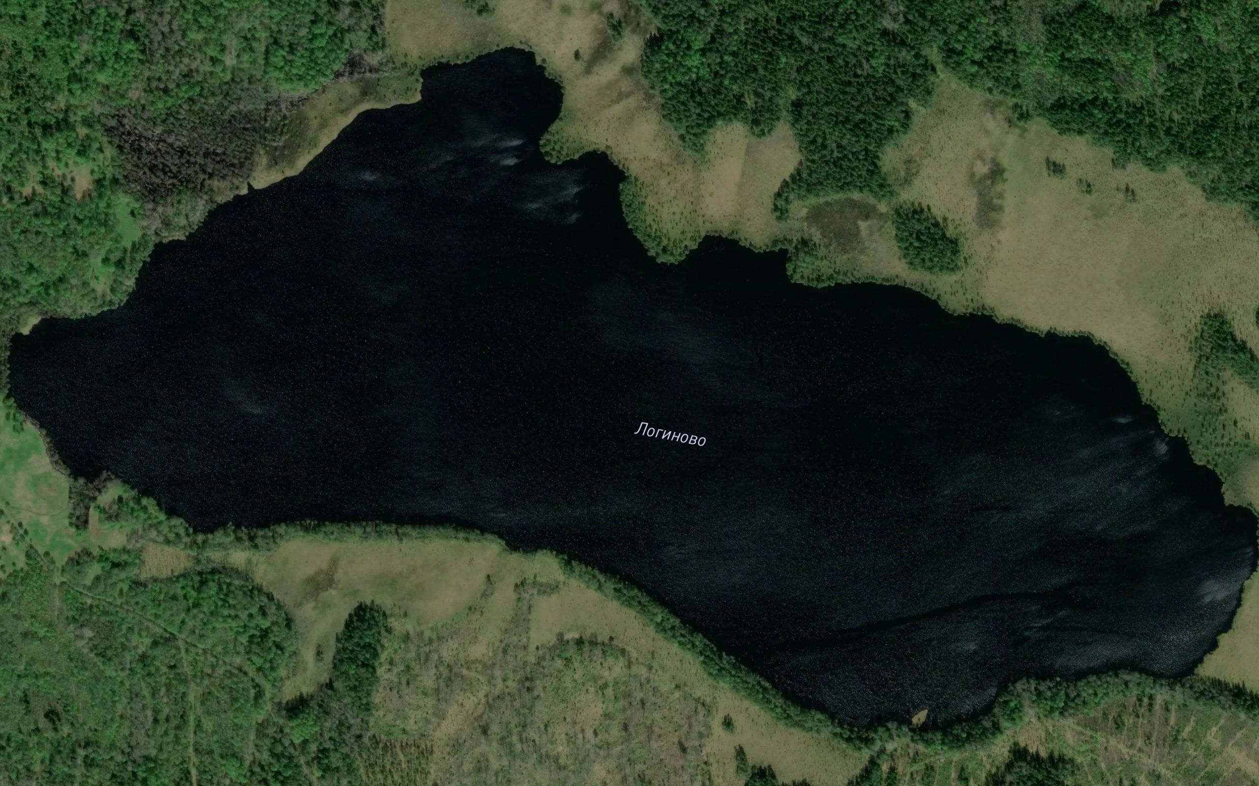 Ozero Loginovo