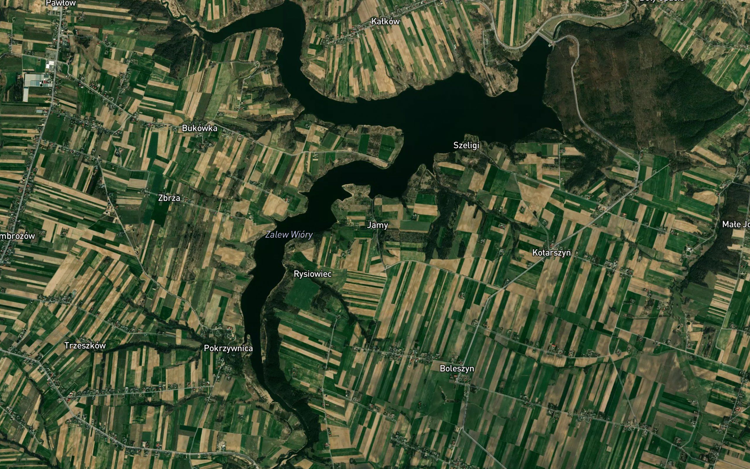 Pokrzywianka