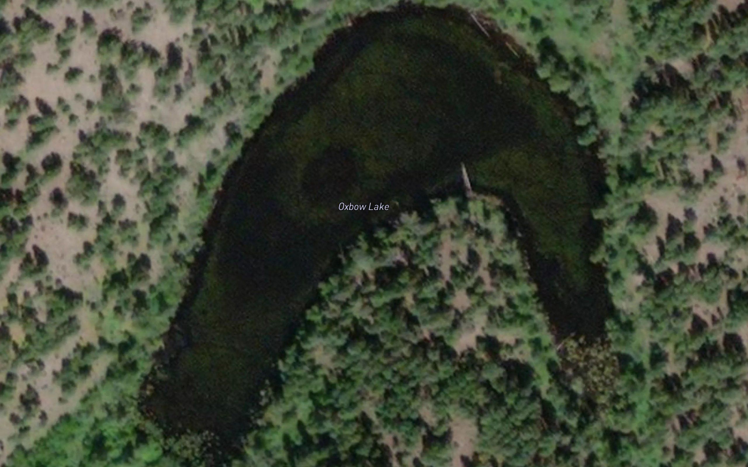 Oxbow Lake