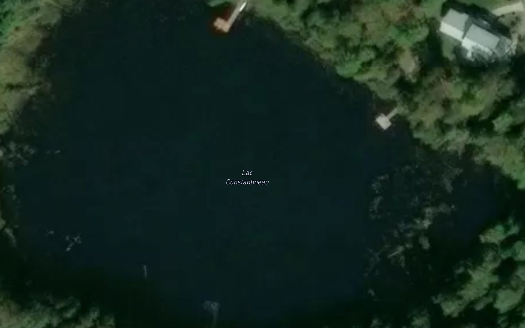 Satellite map of the Lac Constantineau