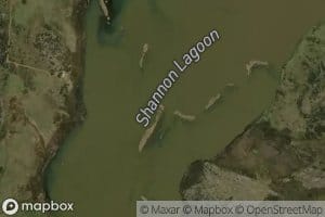 Shannon Lagoon