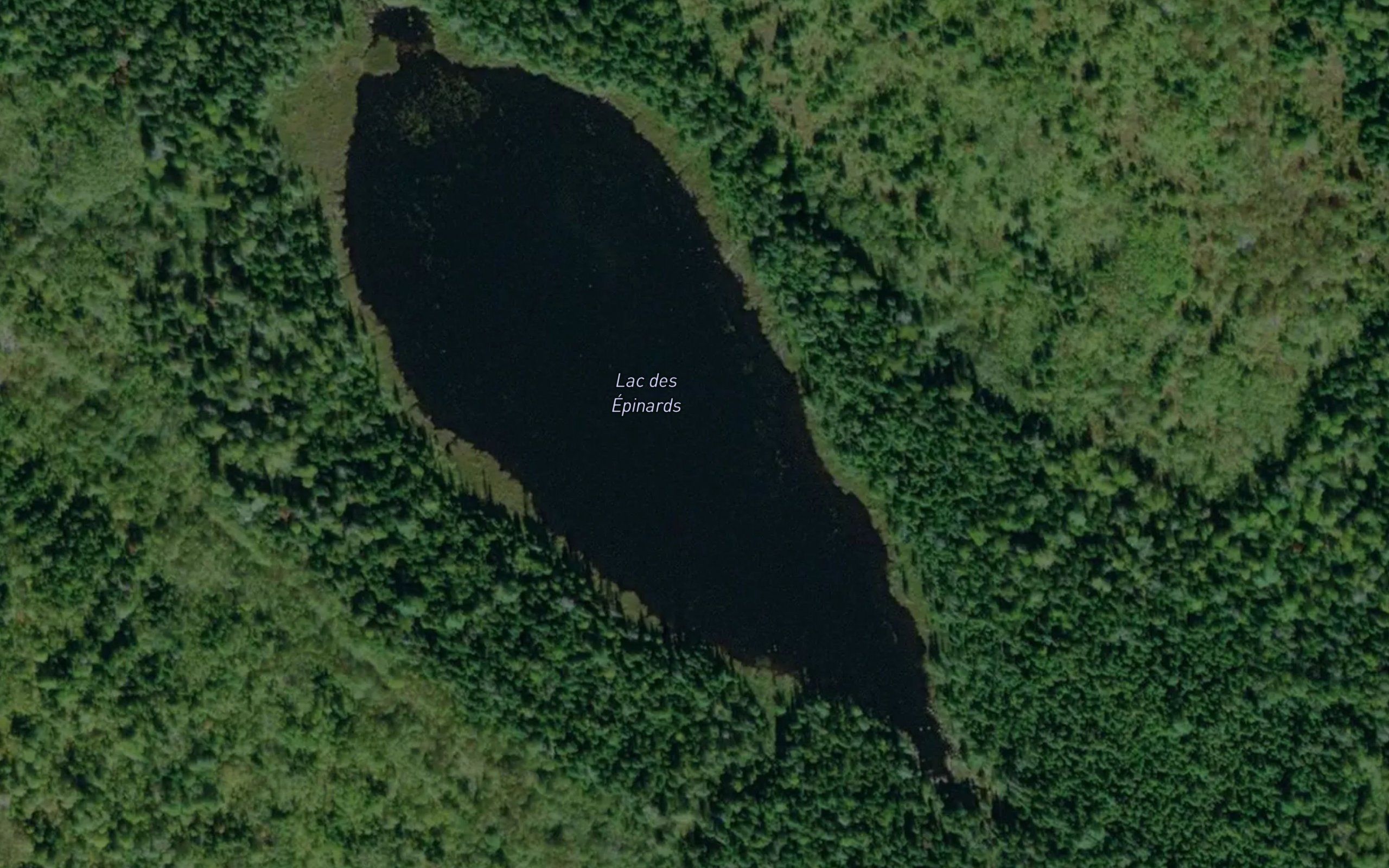 Lac des Epinards