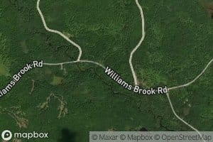 Public Lot Brook