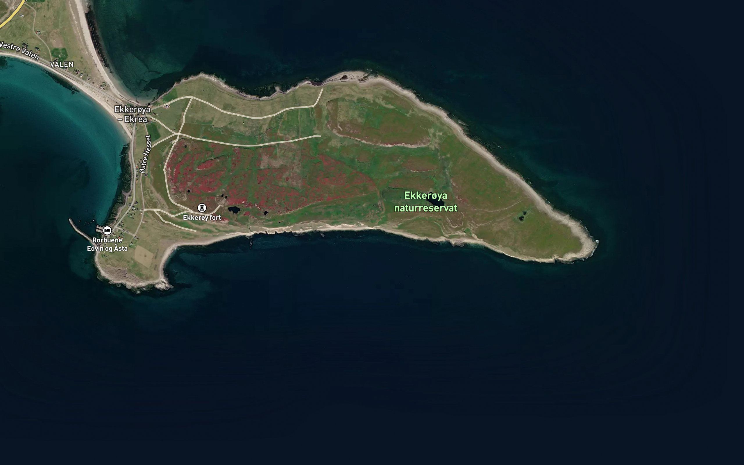 Skipparvika