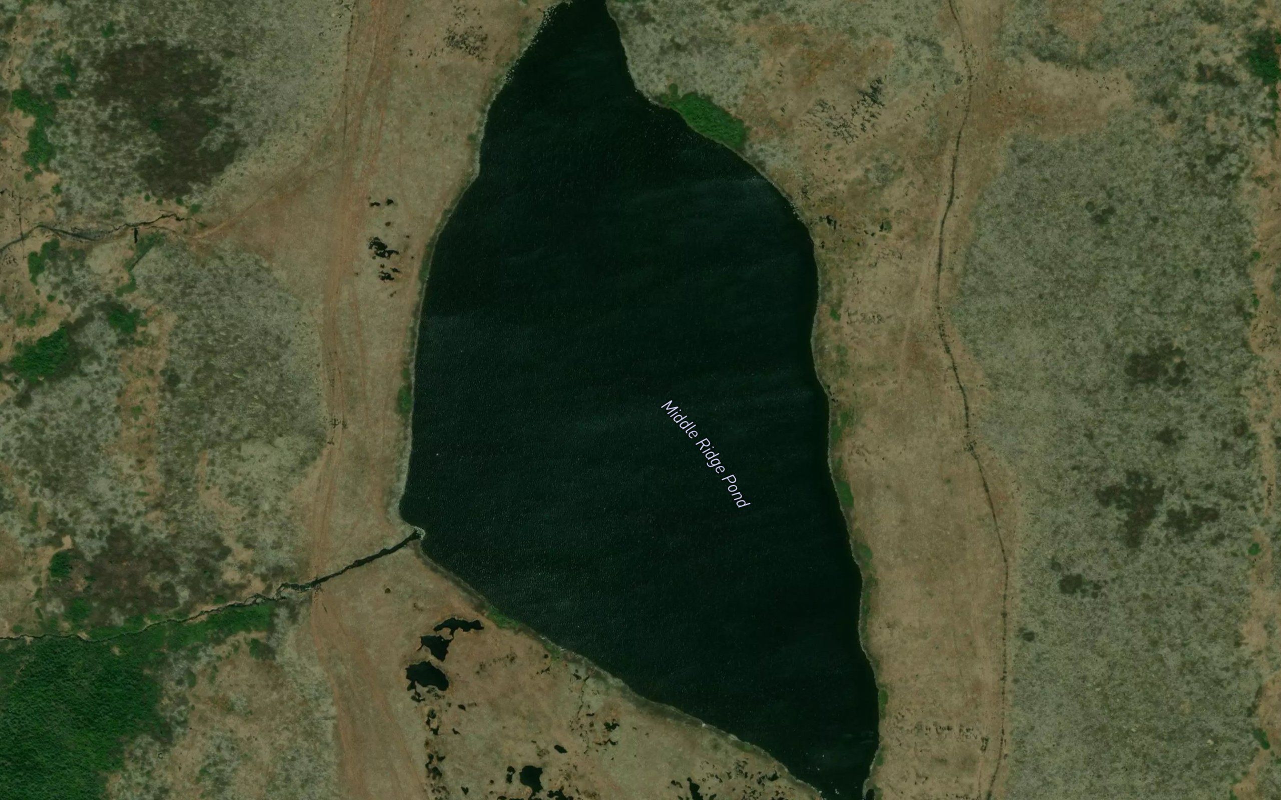 Middle Ridge Pond