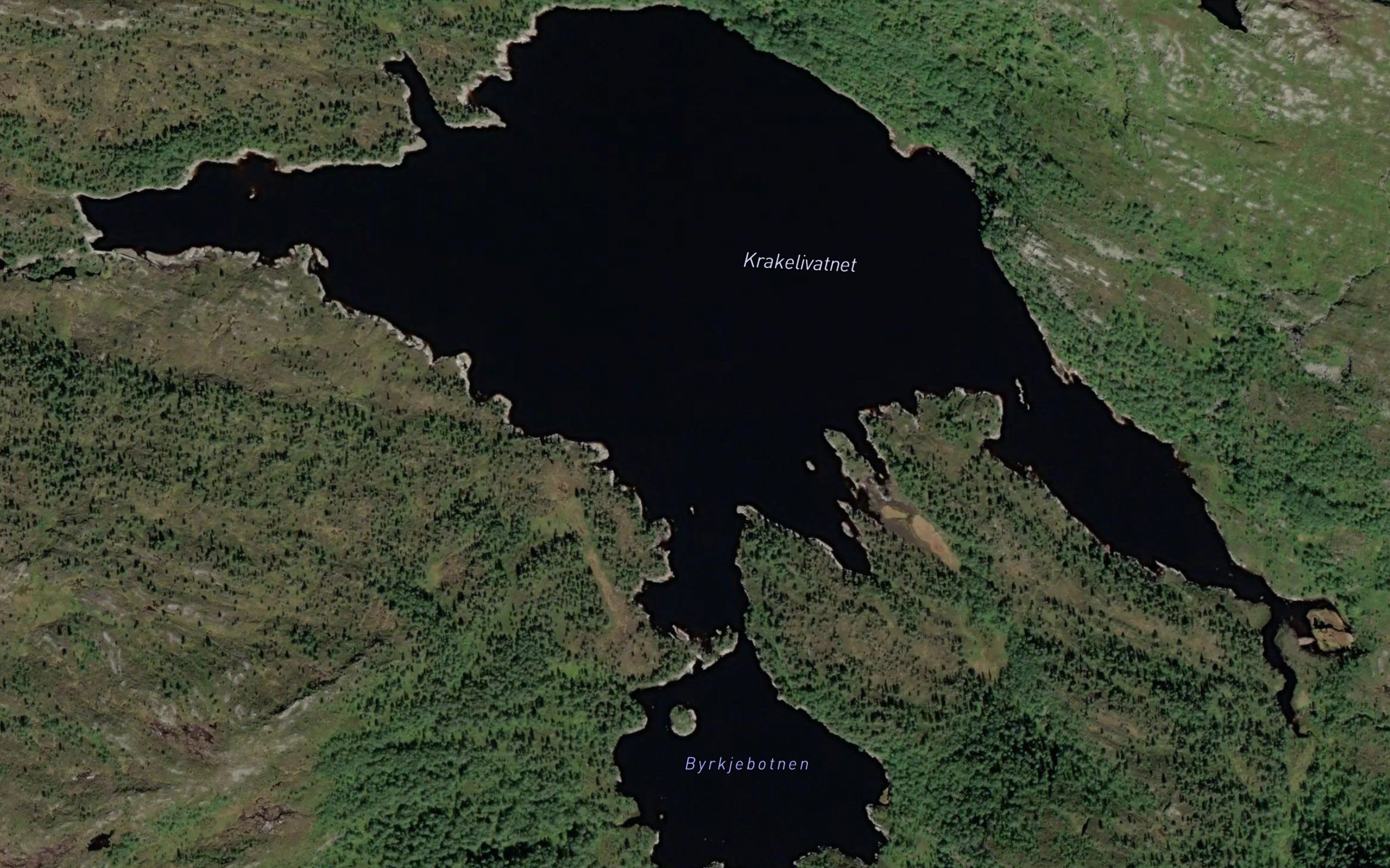Krakelivatnet