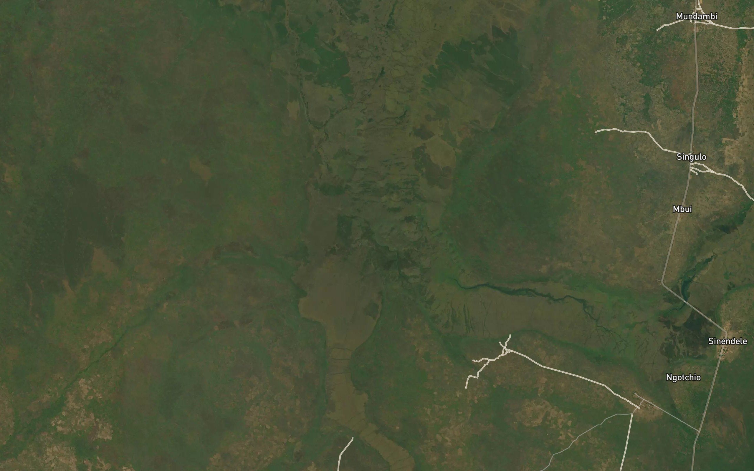Mungondua