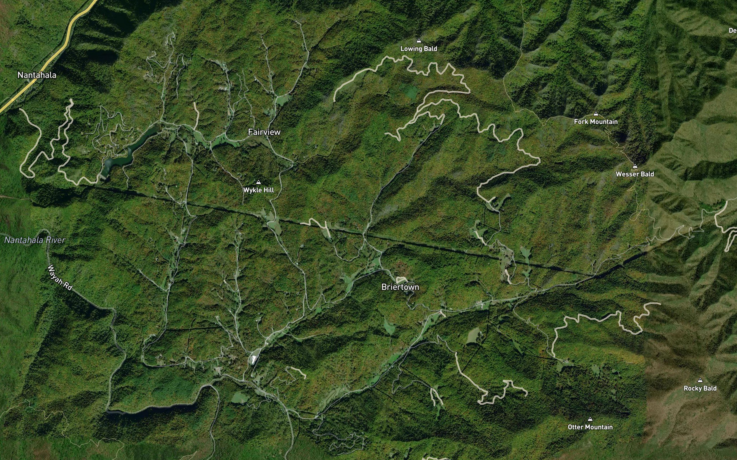 Left Fork Partridge Creek