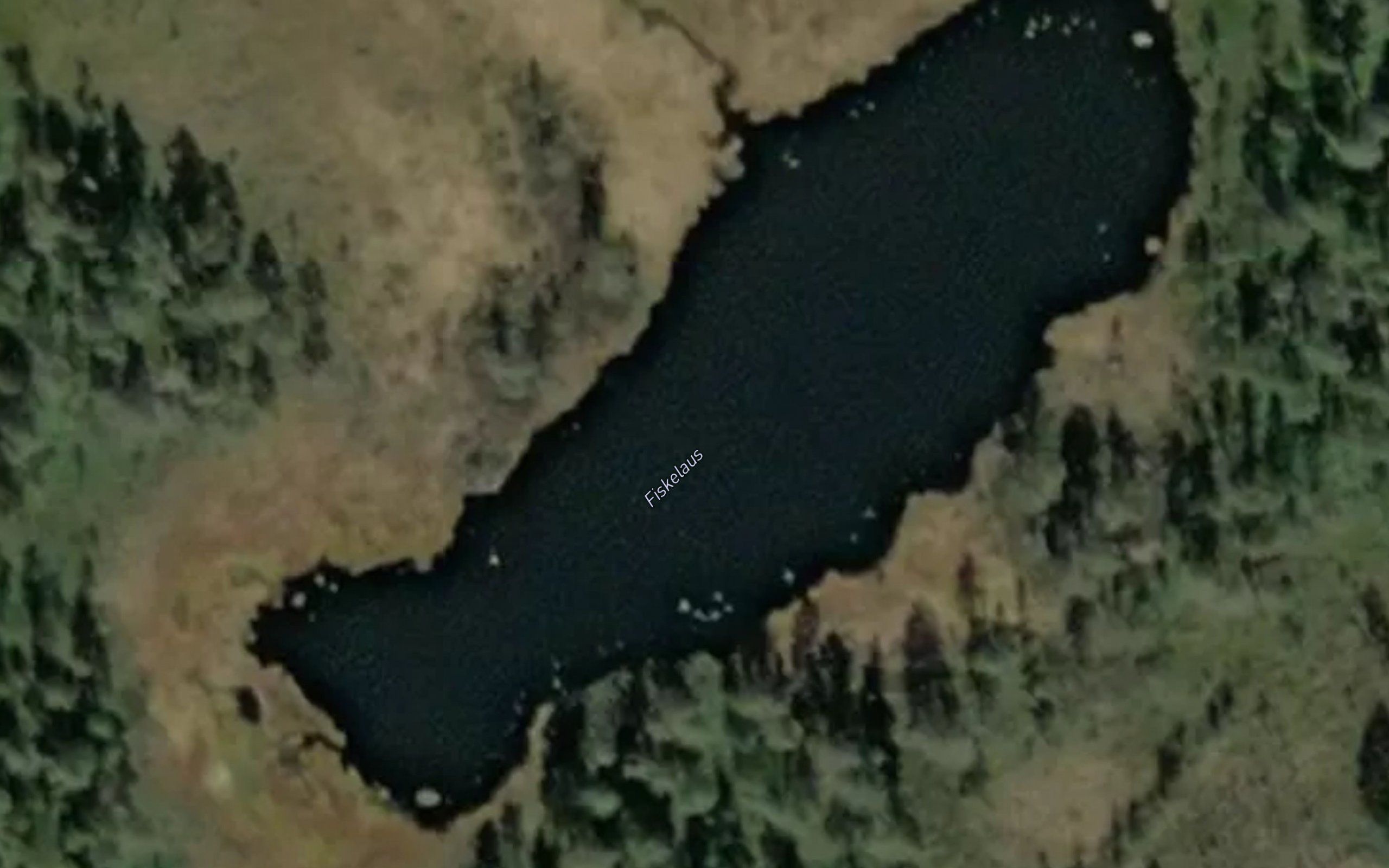 Fiskelaus