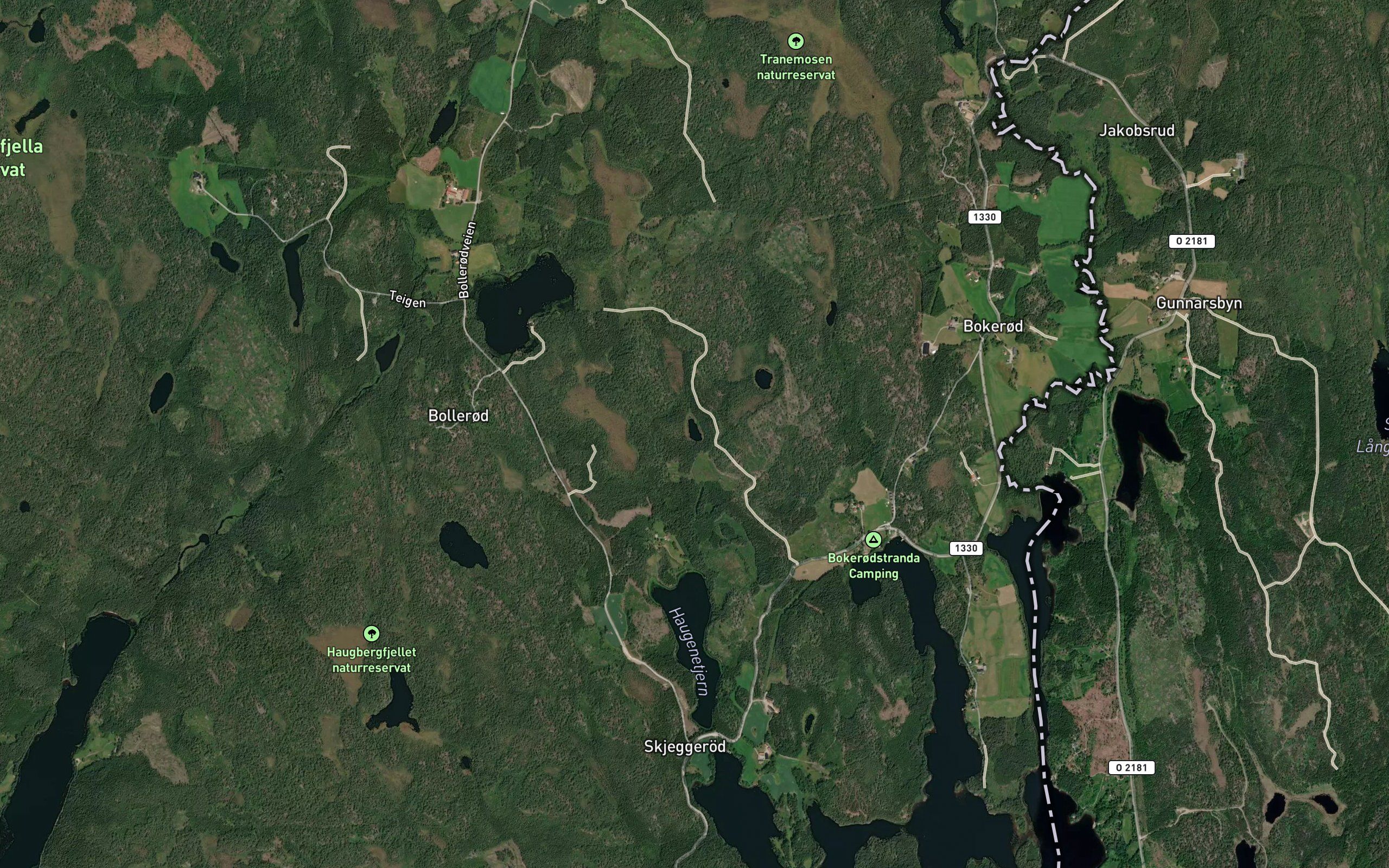 Svarttjernene