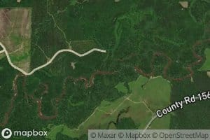 Box Creek