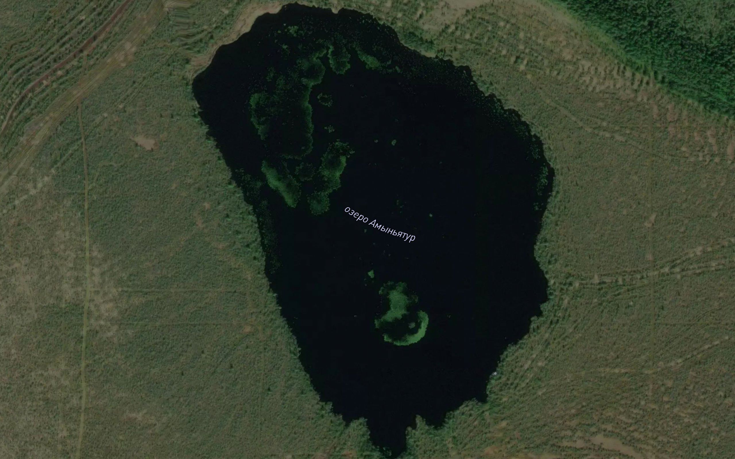 Ozero Tolovoye
