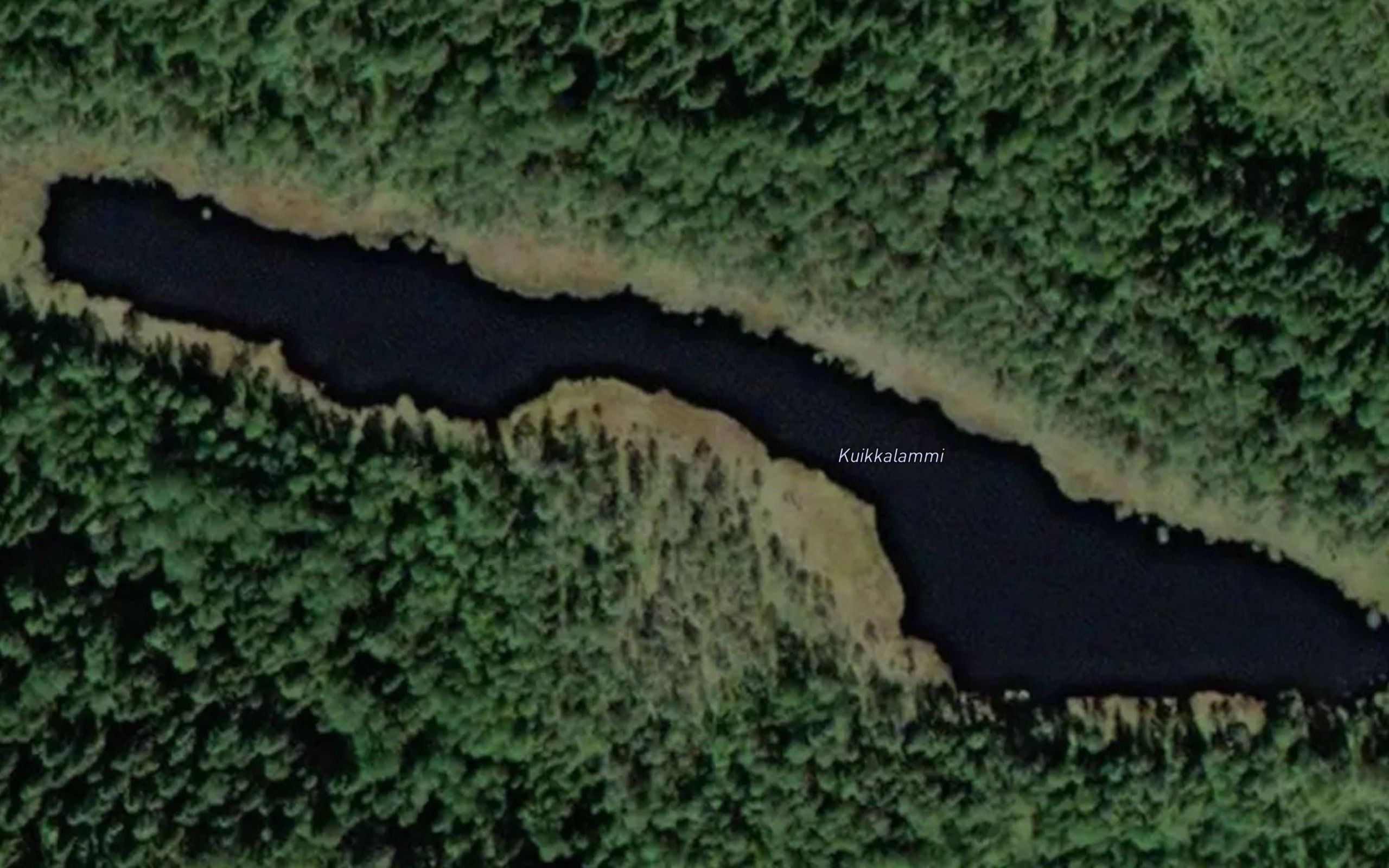 Kuikkalammi