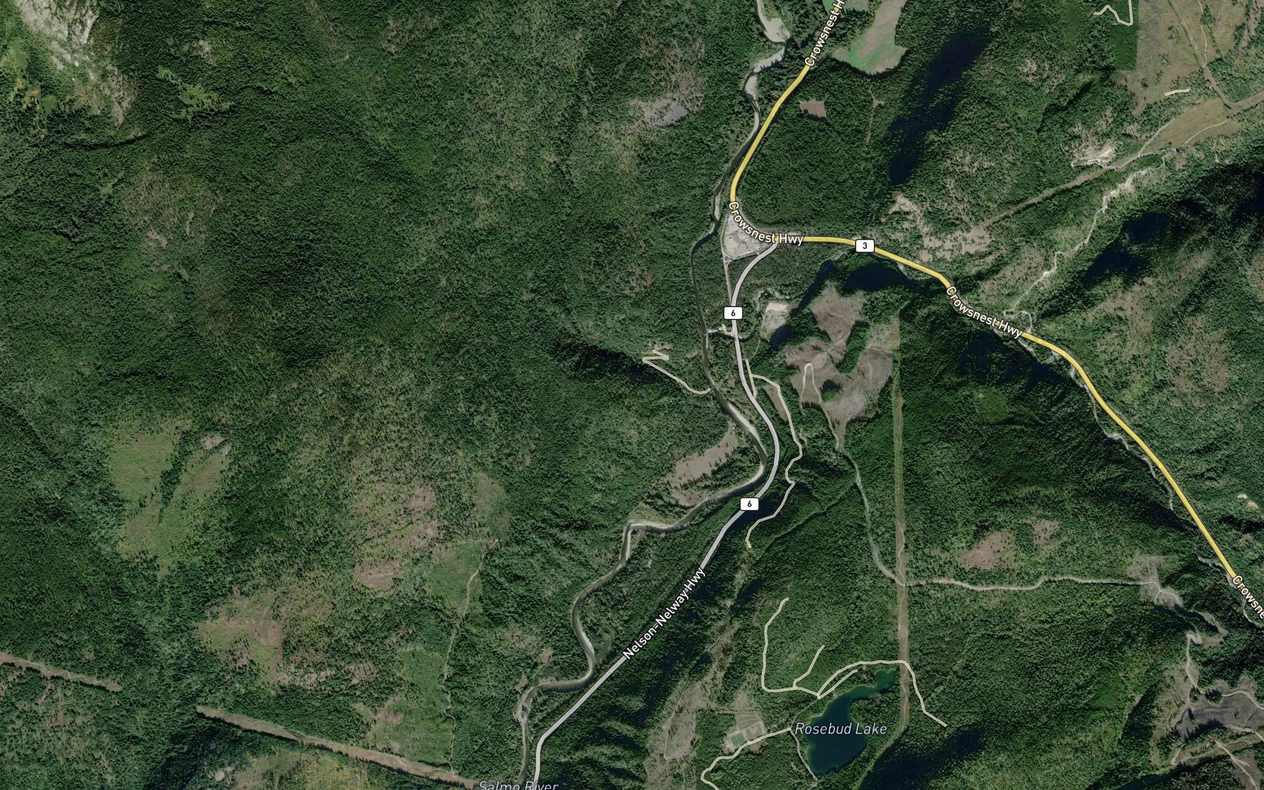 Satellite map of the South Salmo River