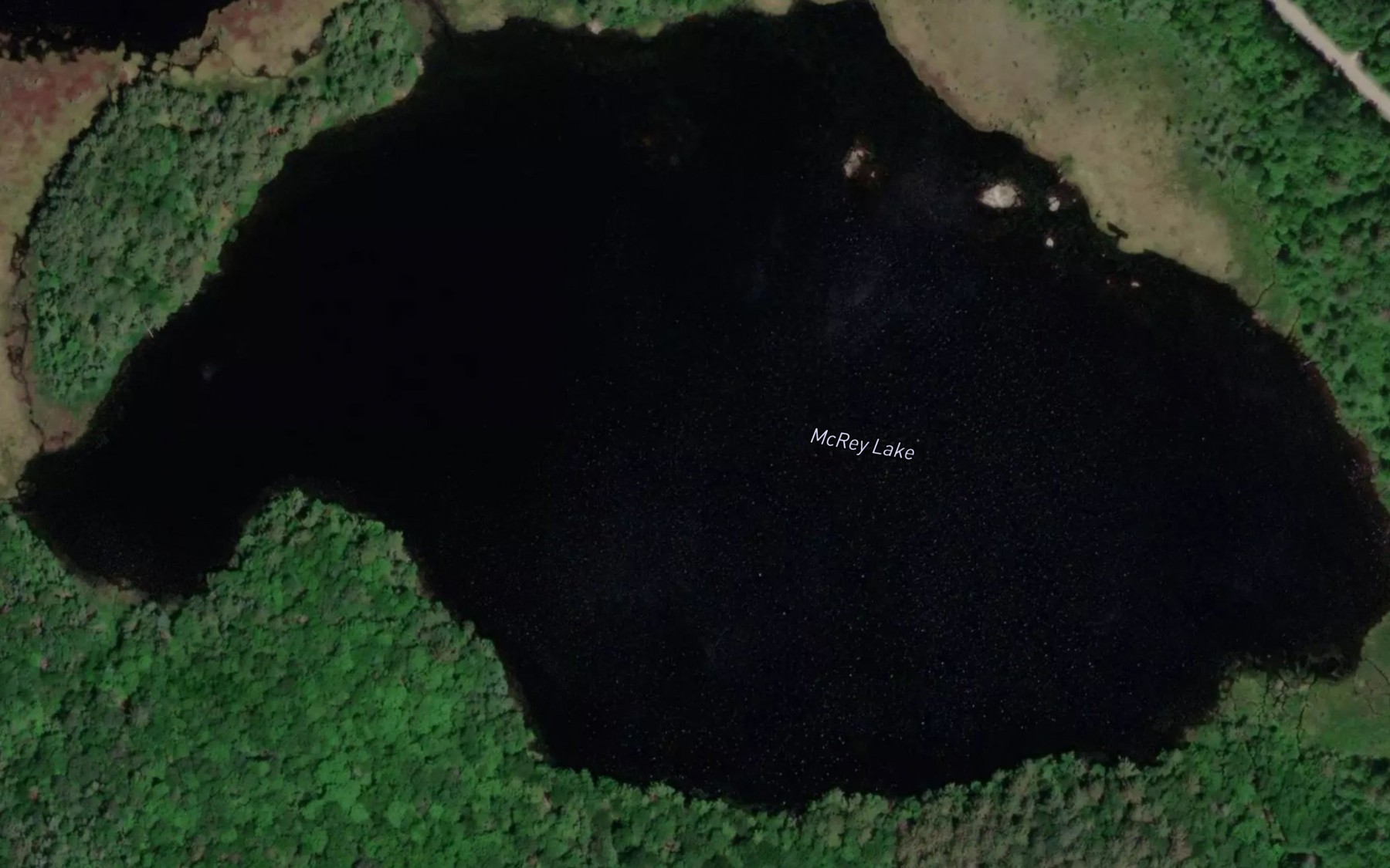 Satellite map of the McRey Lake