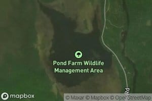 Pond Farm Pond