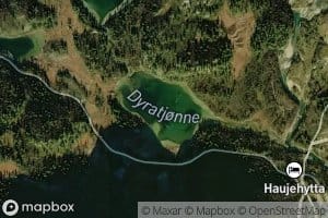 Dyratjonnet