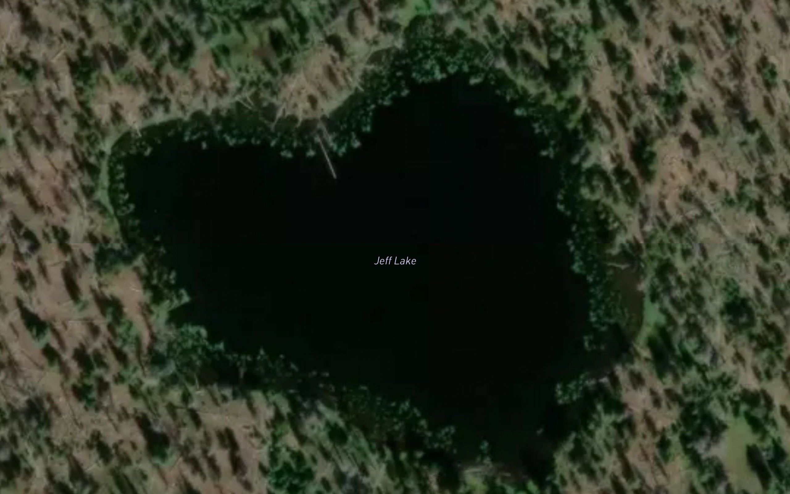 Jeff Lake