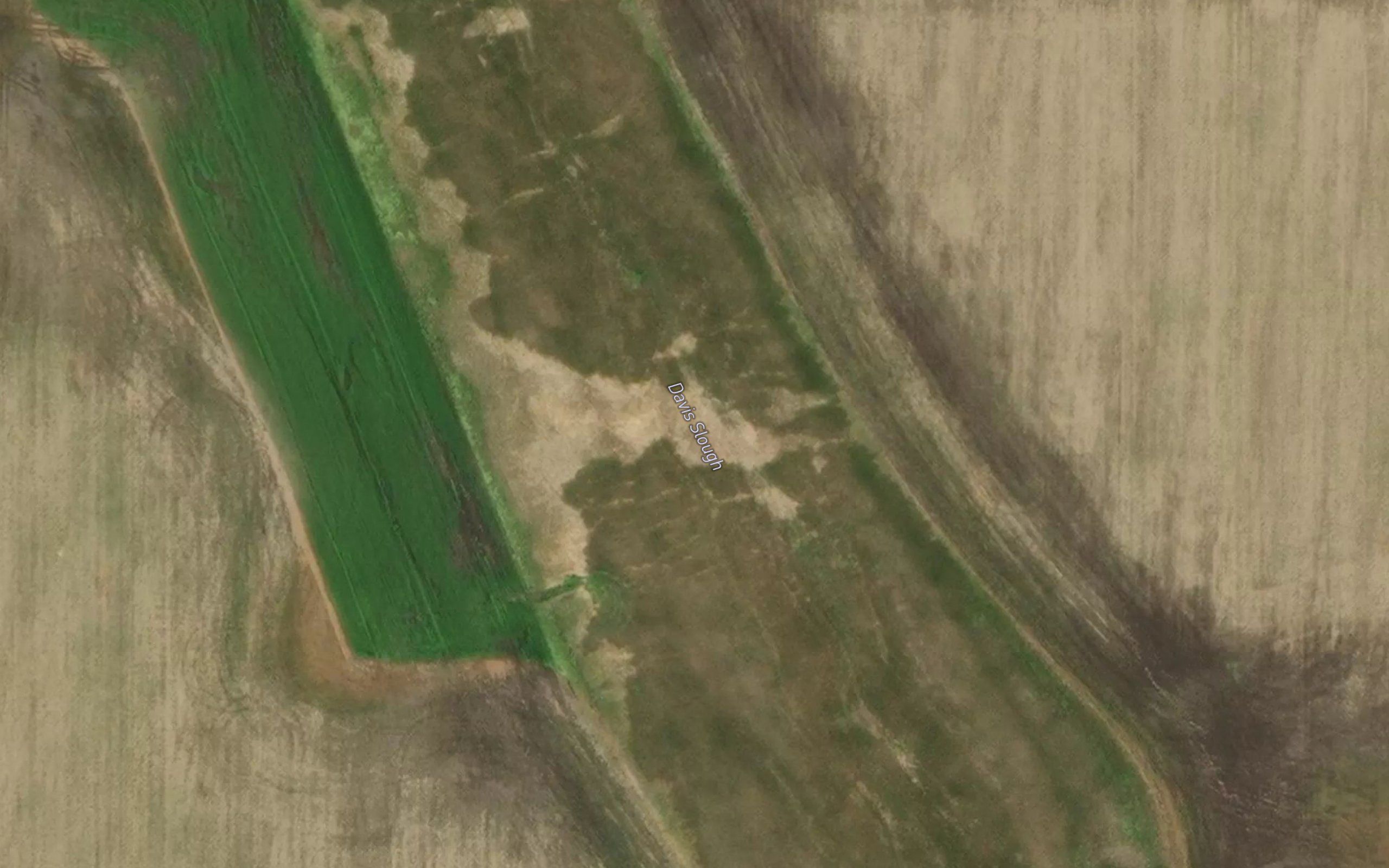 Davis Slough