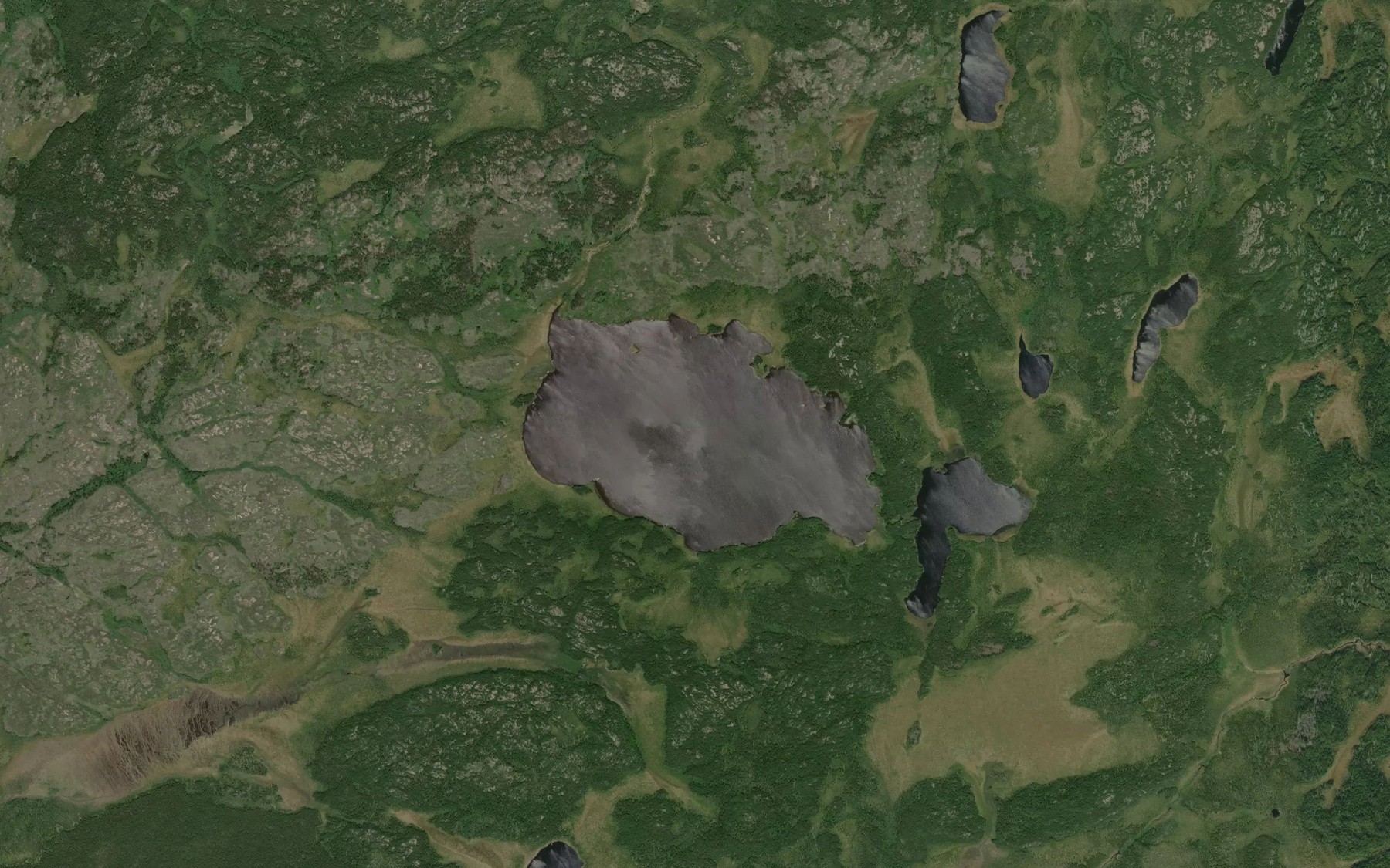 Satellite map of the Riggs Lake