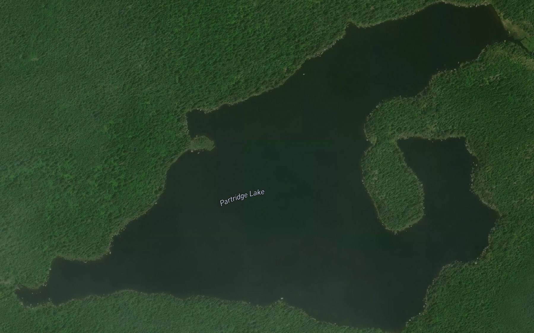 Satellite map of the Partridge Lake