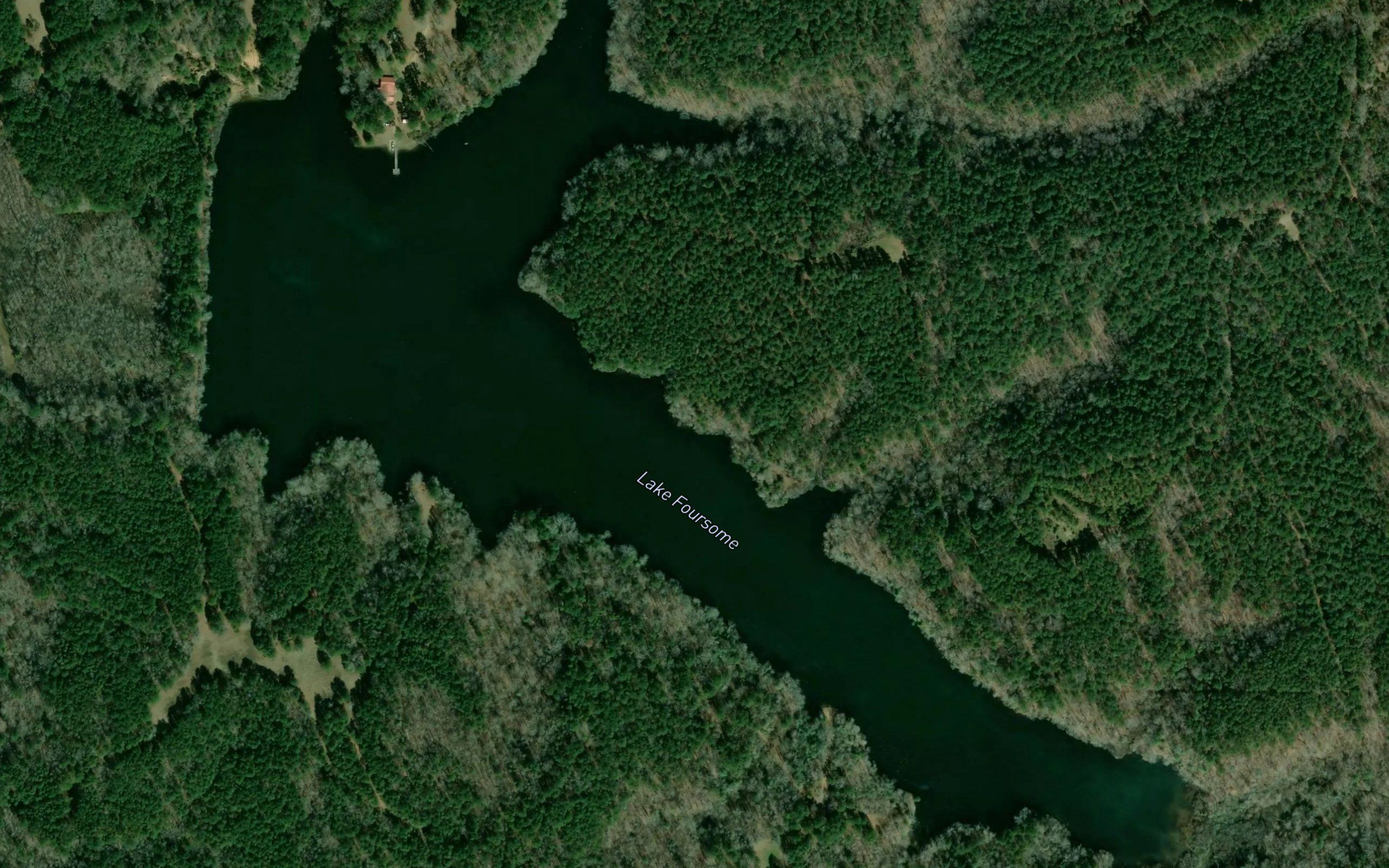 Lake Foursome