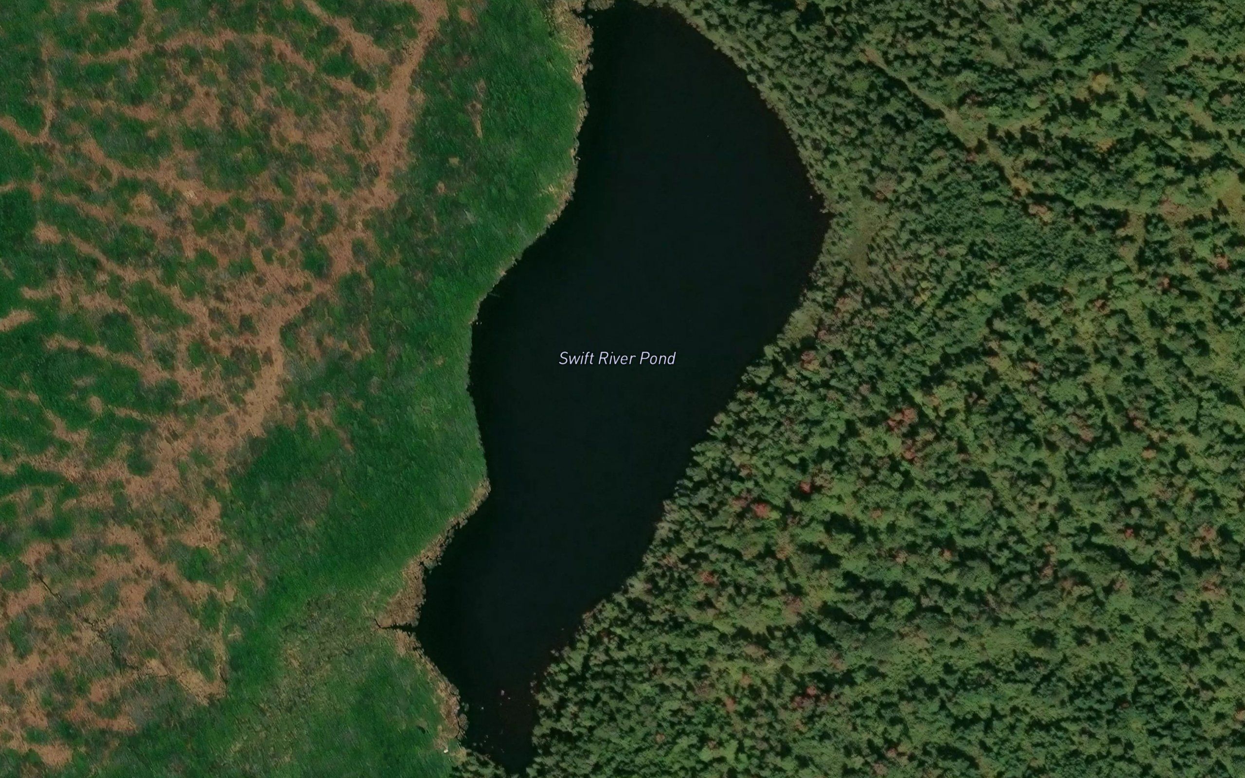 Swift River Pond