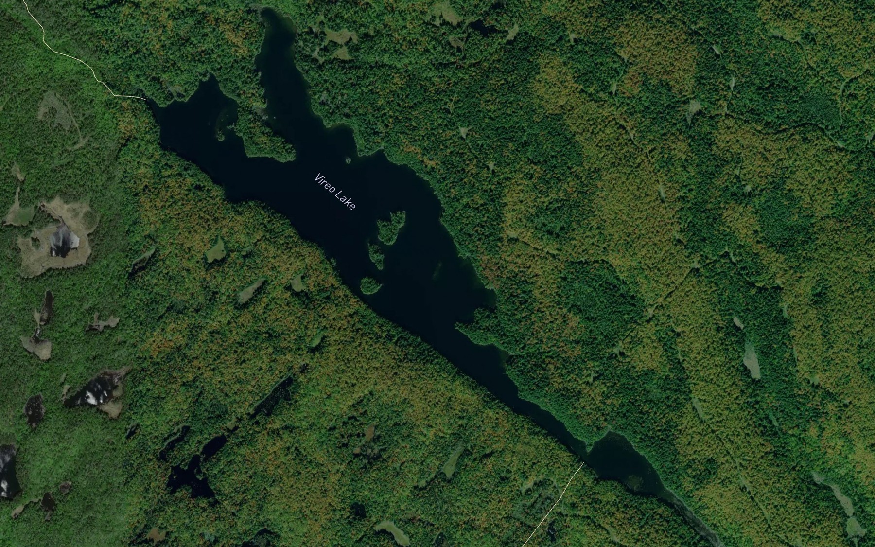Satellite map of the Vireo Lake