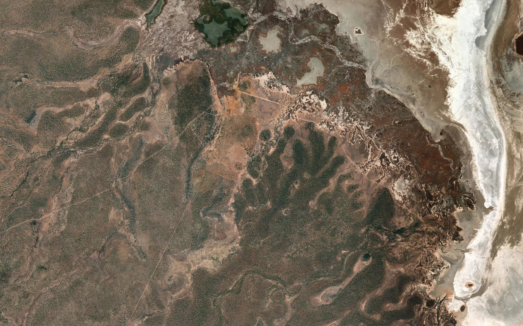 Satellite map of the Alligator Spring