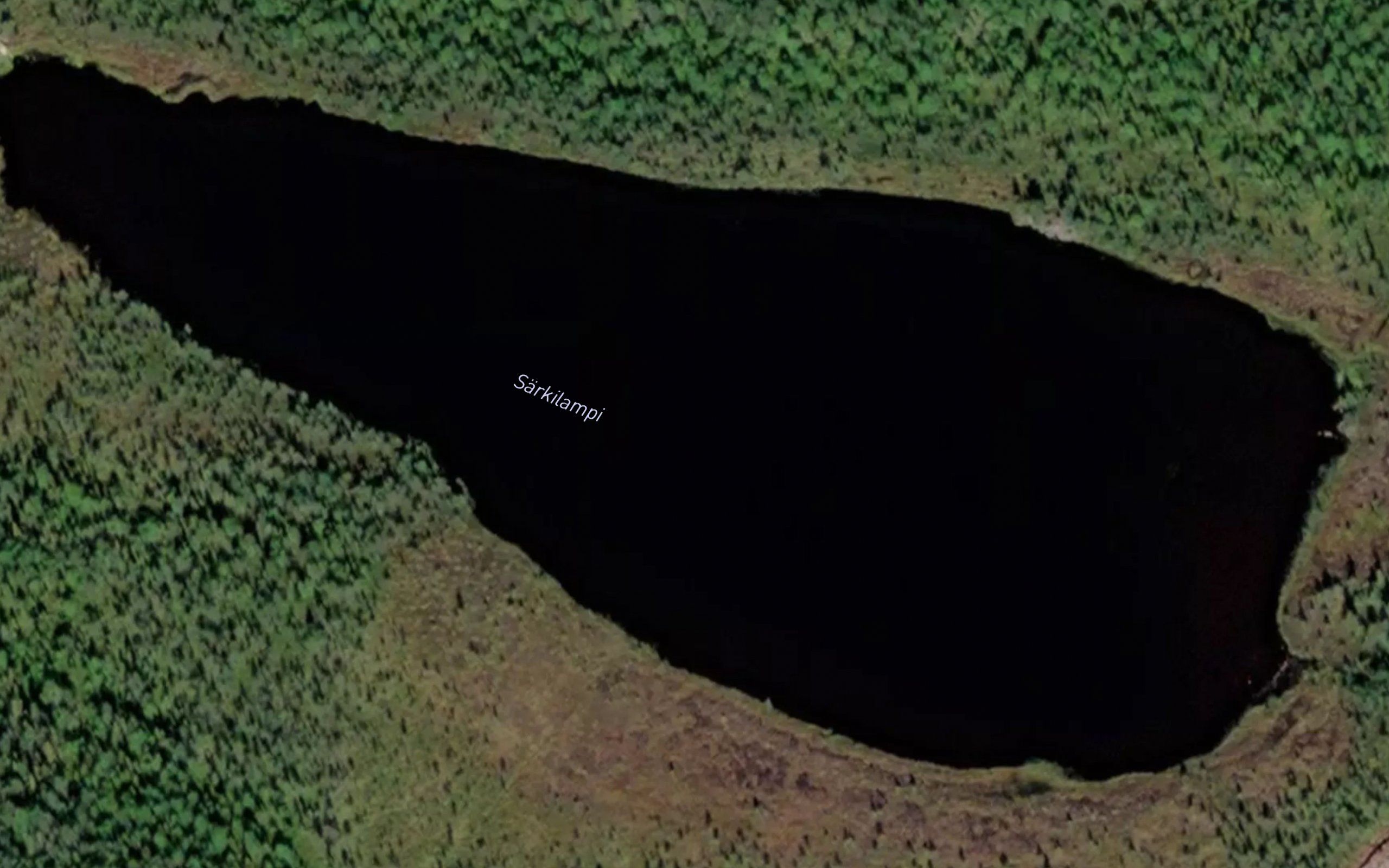 Sarkilampi