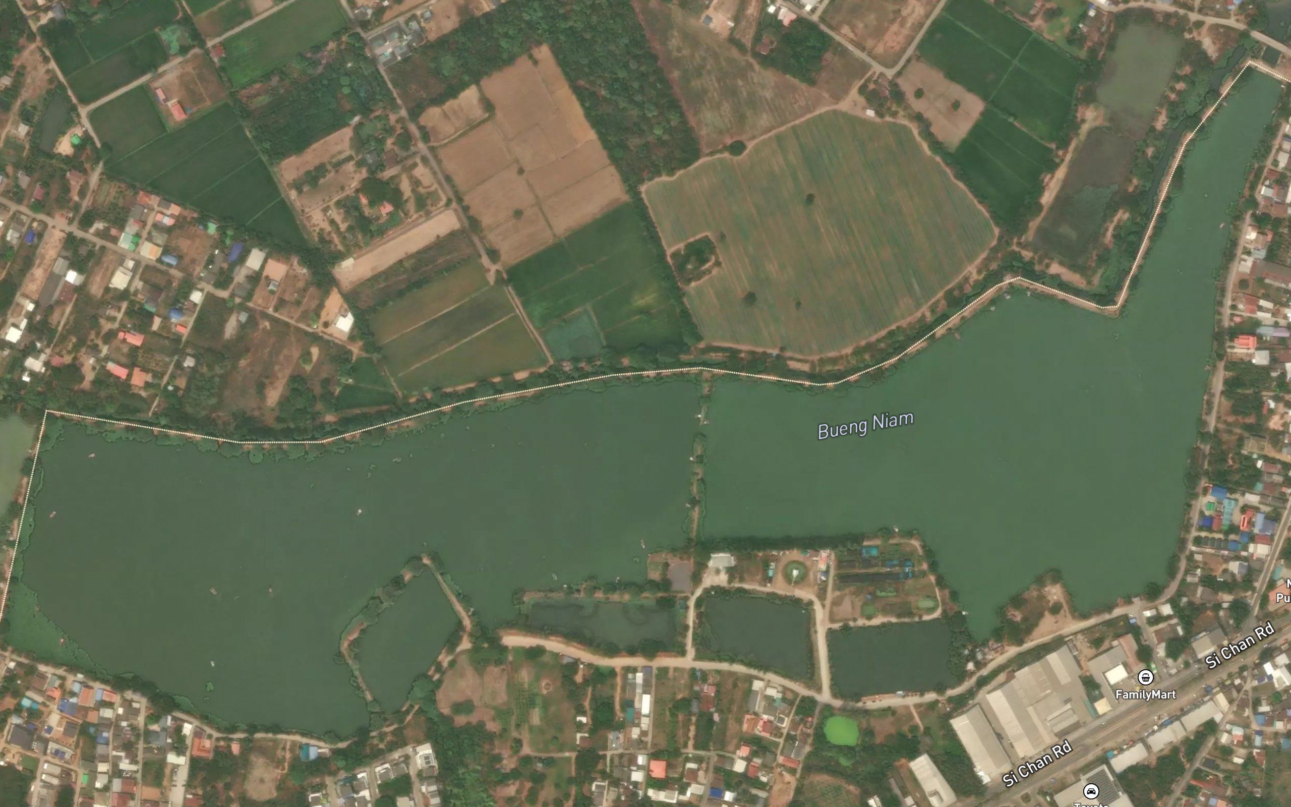 Nong Yai