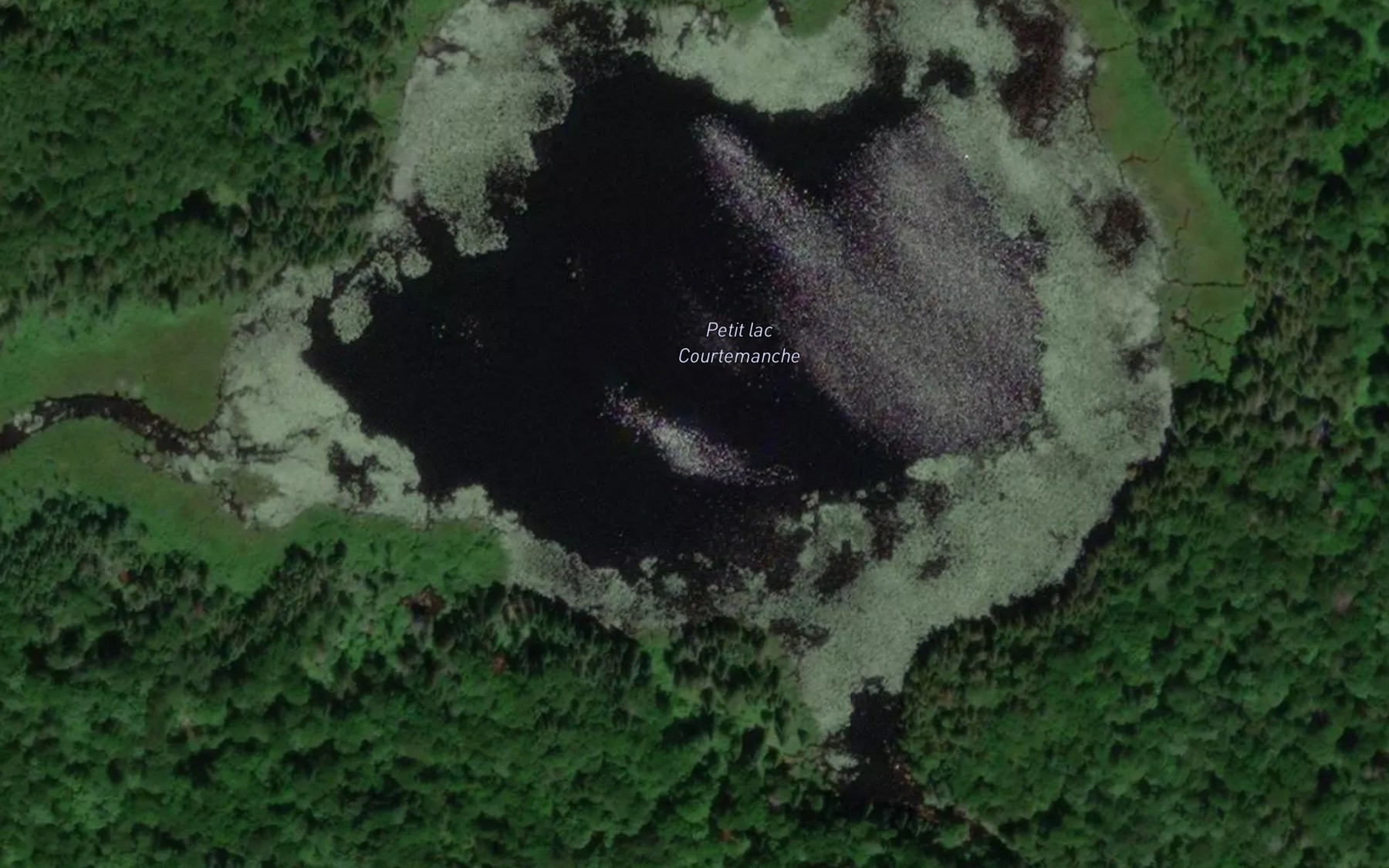 Satellite map of the Petit lac Courtemanche
