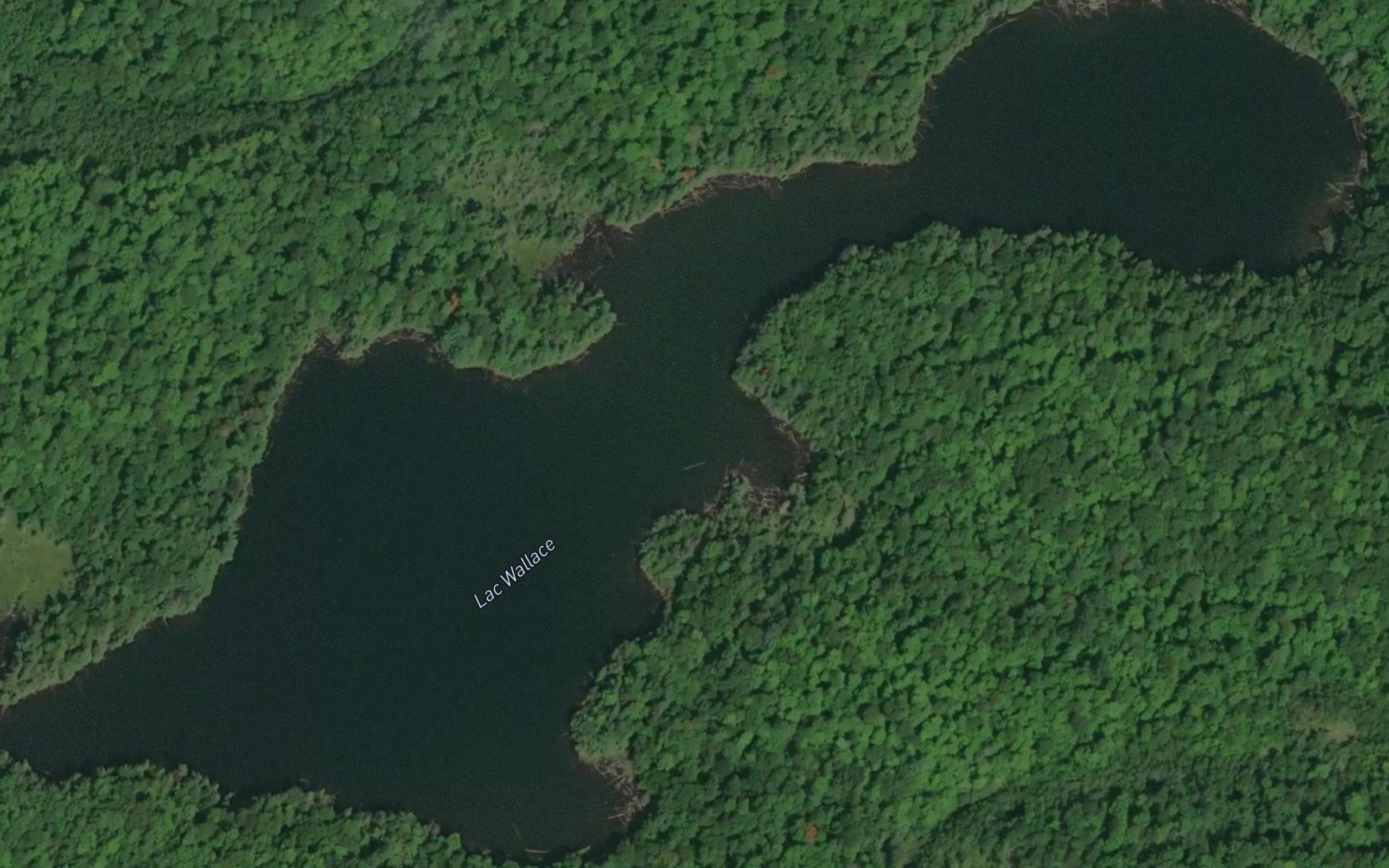 Lac Wallace