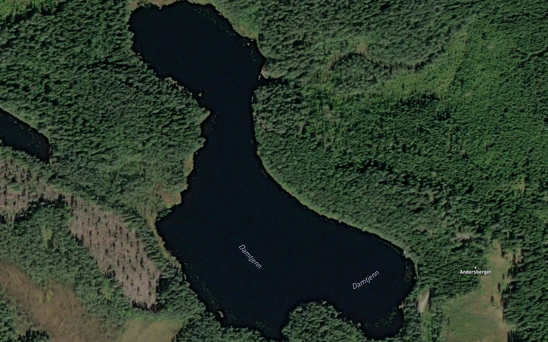 Satellite map of the Damtjennet