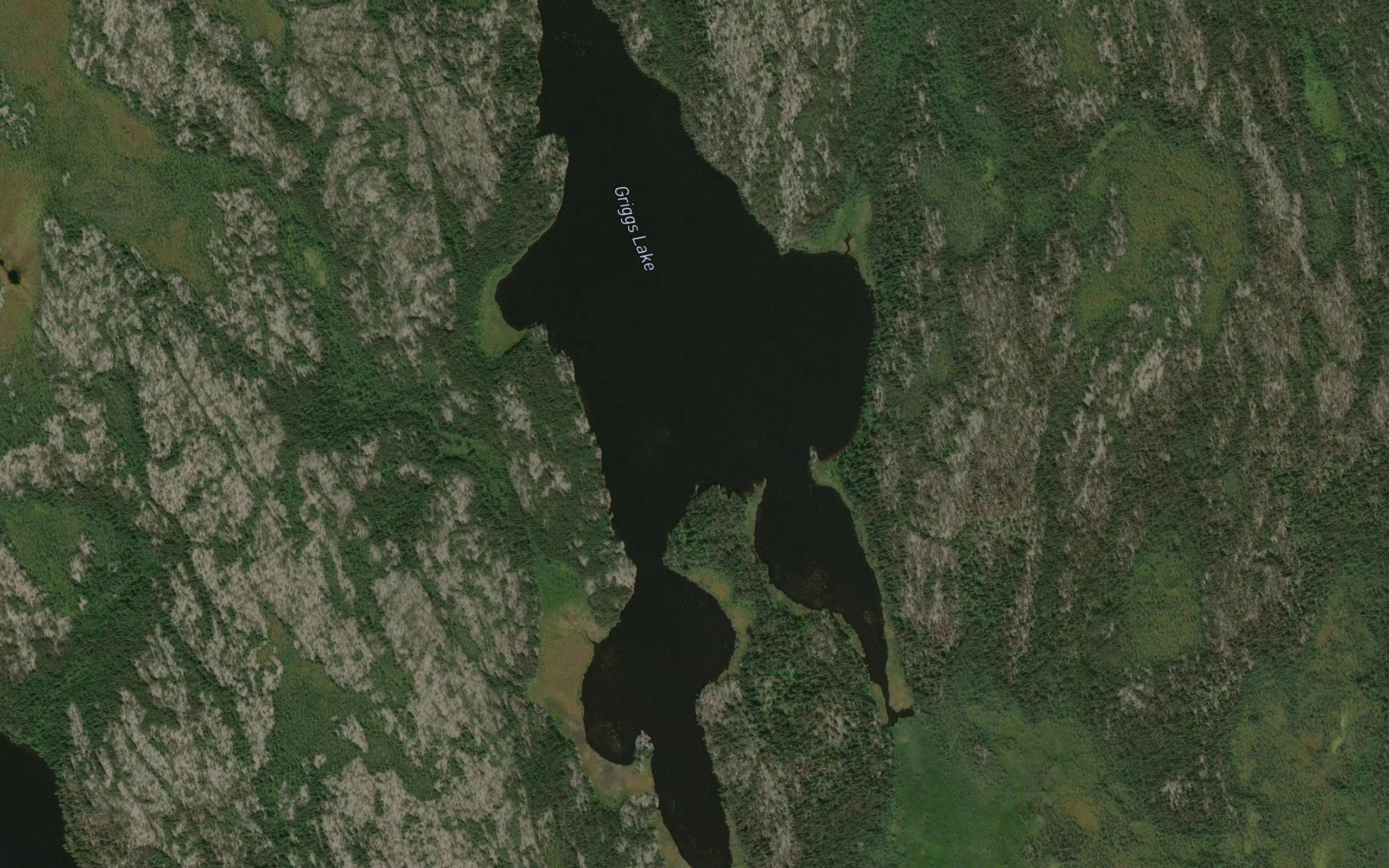 Griggs Lake