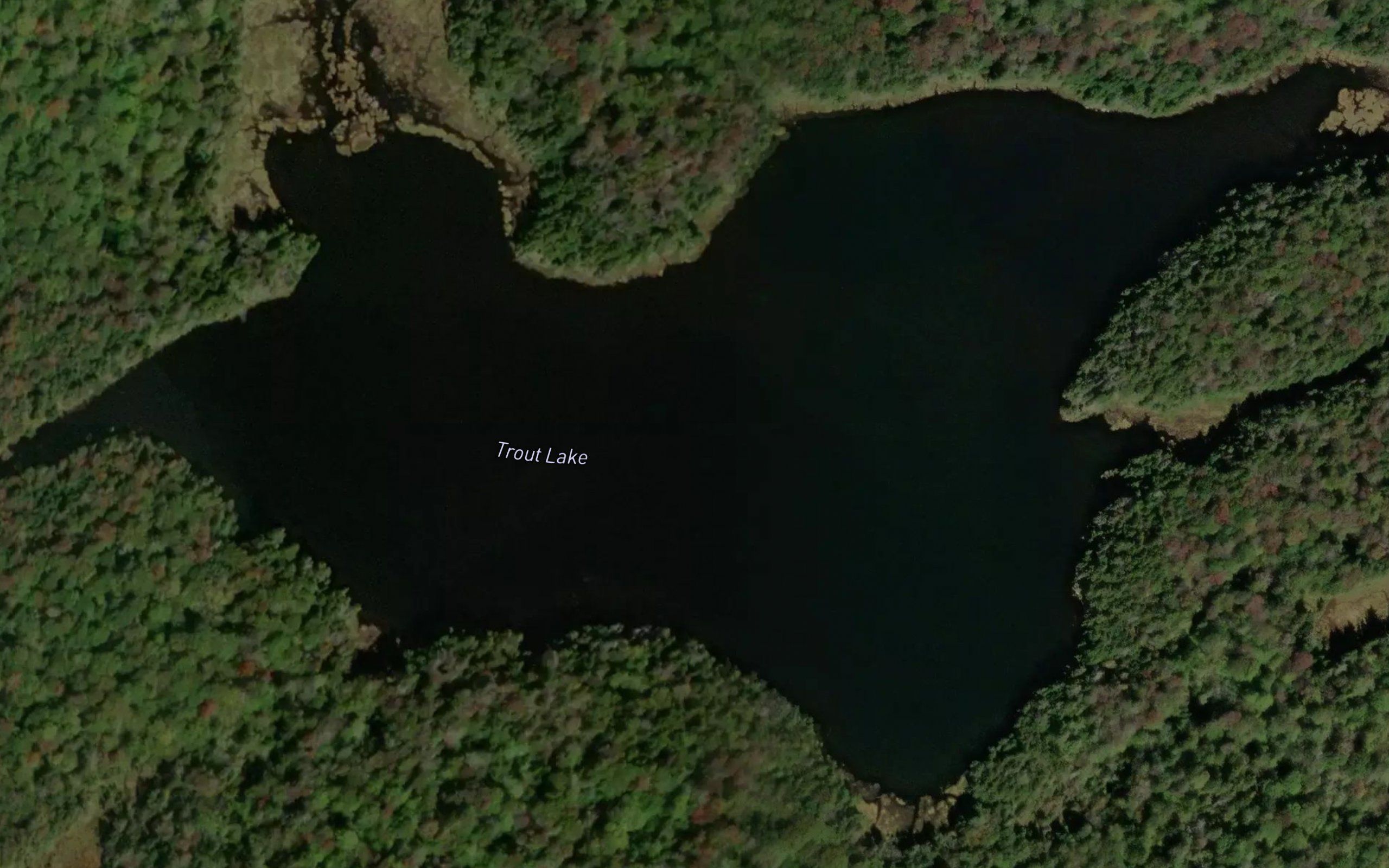 Trout Lake