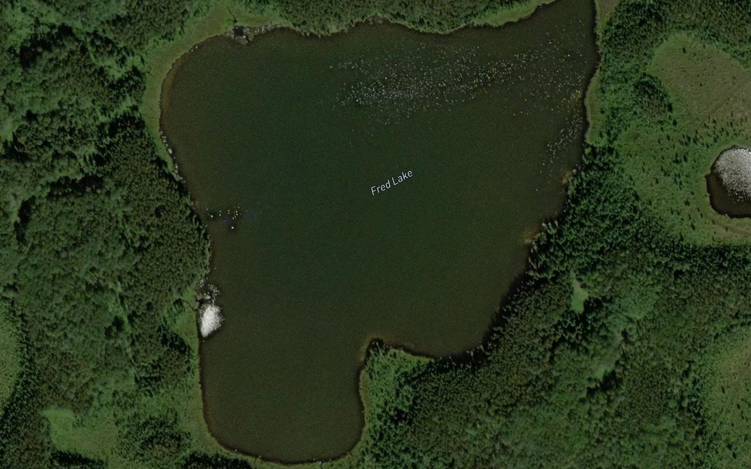 Fred Lake