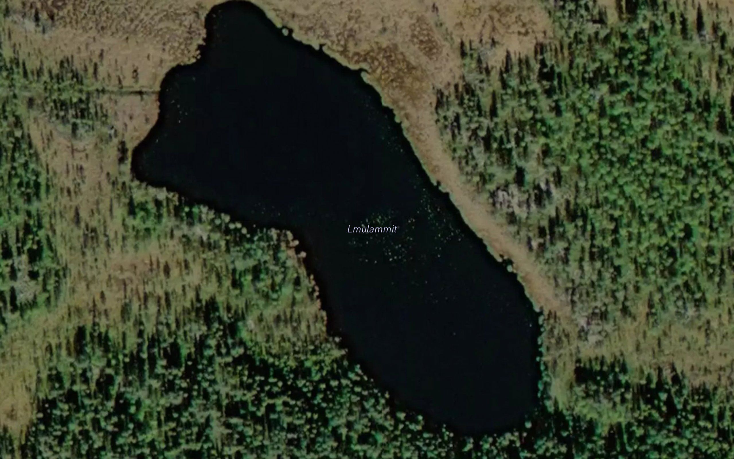 Lomulammit