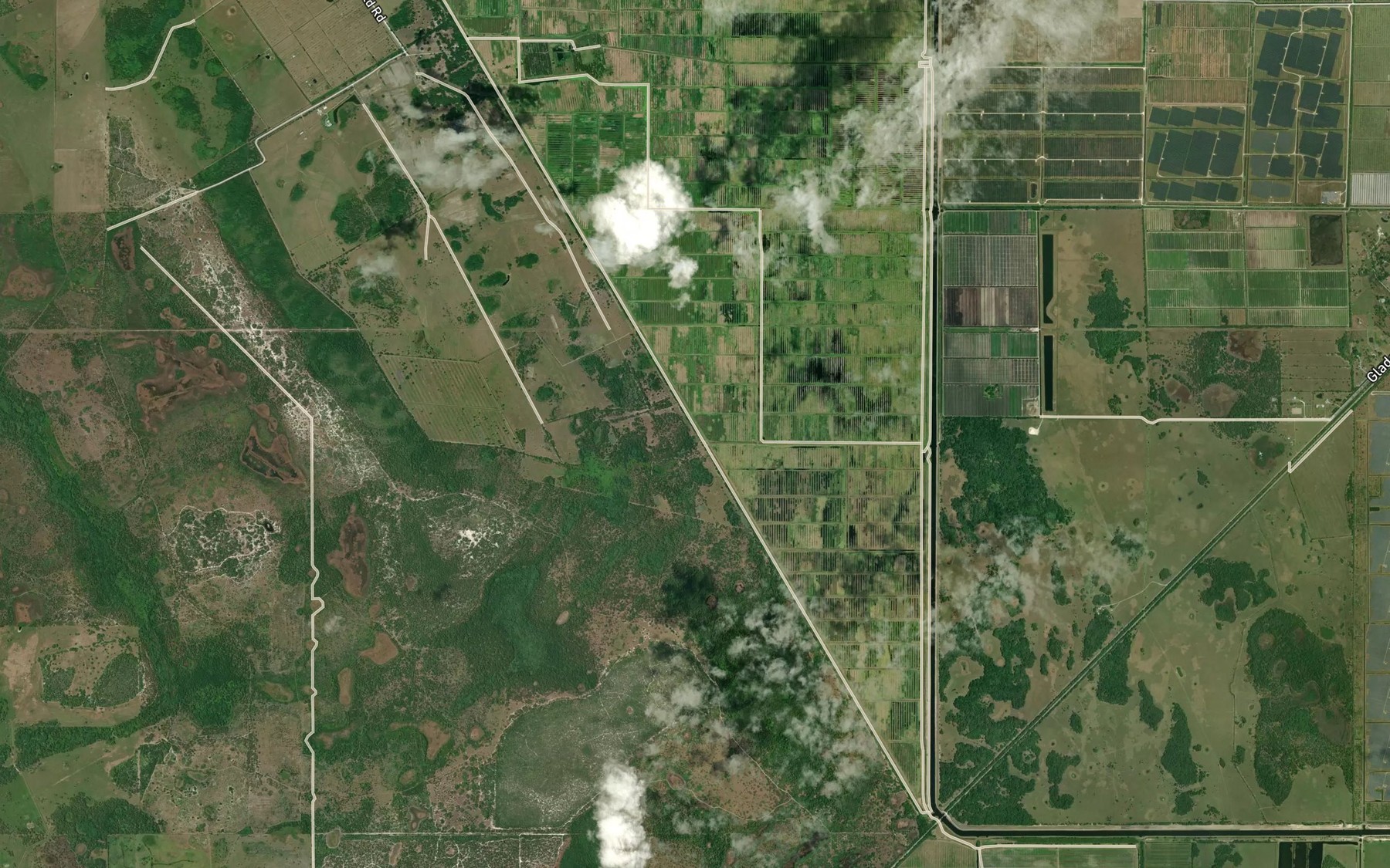 Satellite map of the Parker Branch
