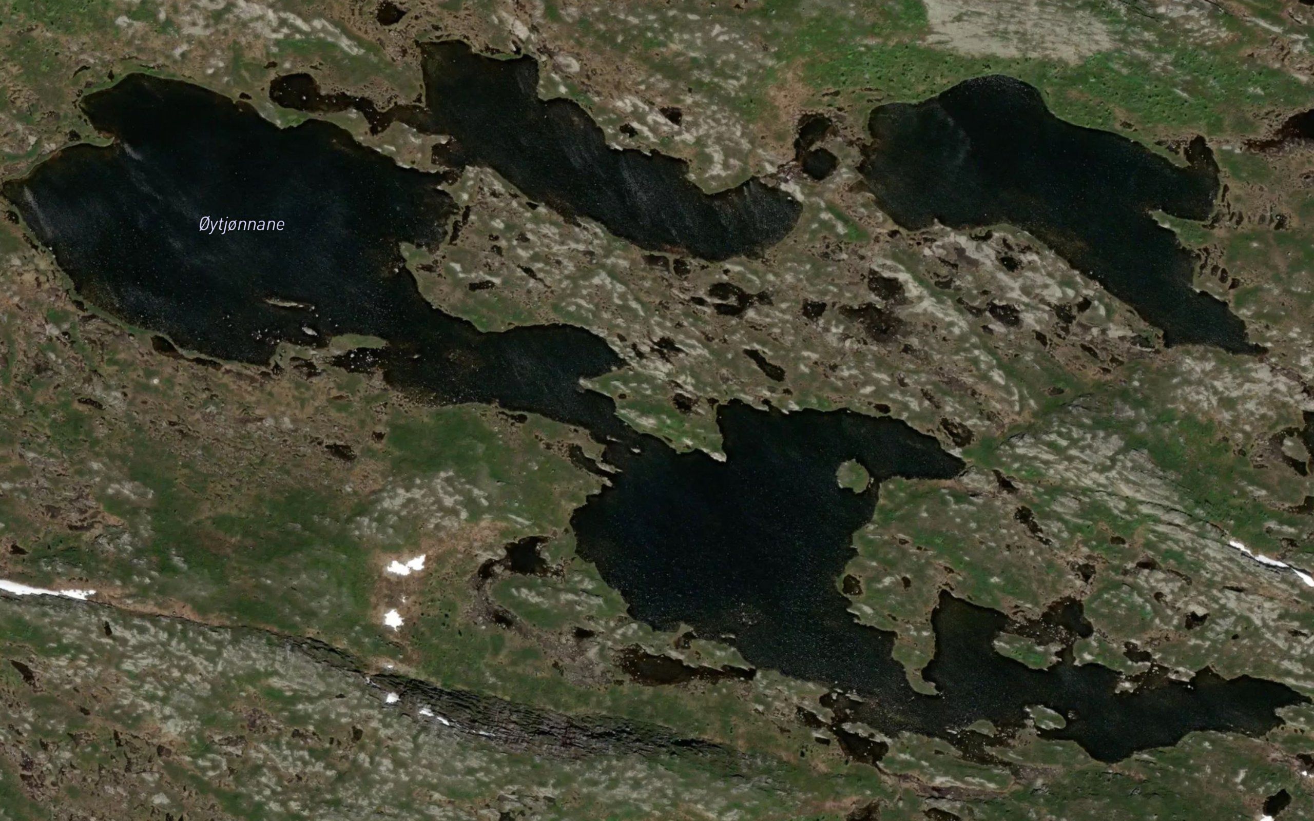 Oytjornane