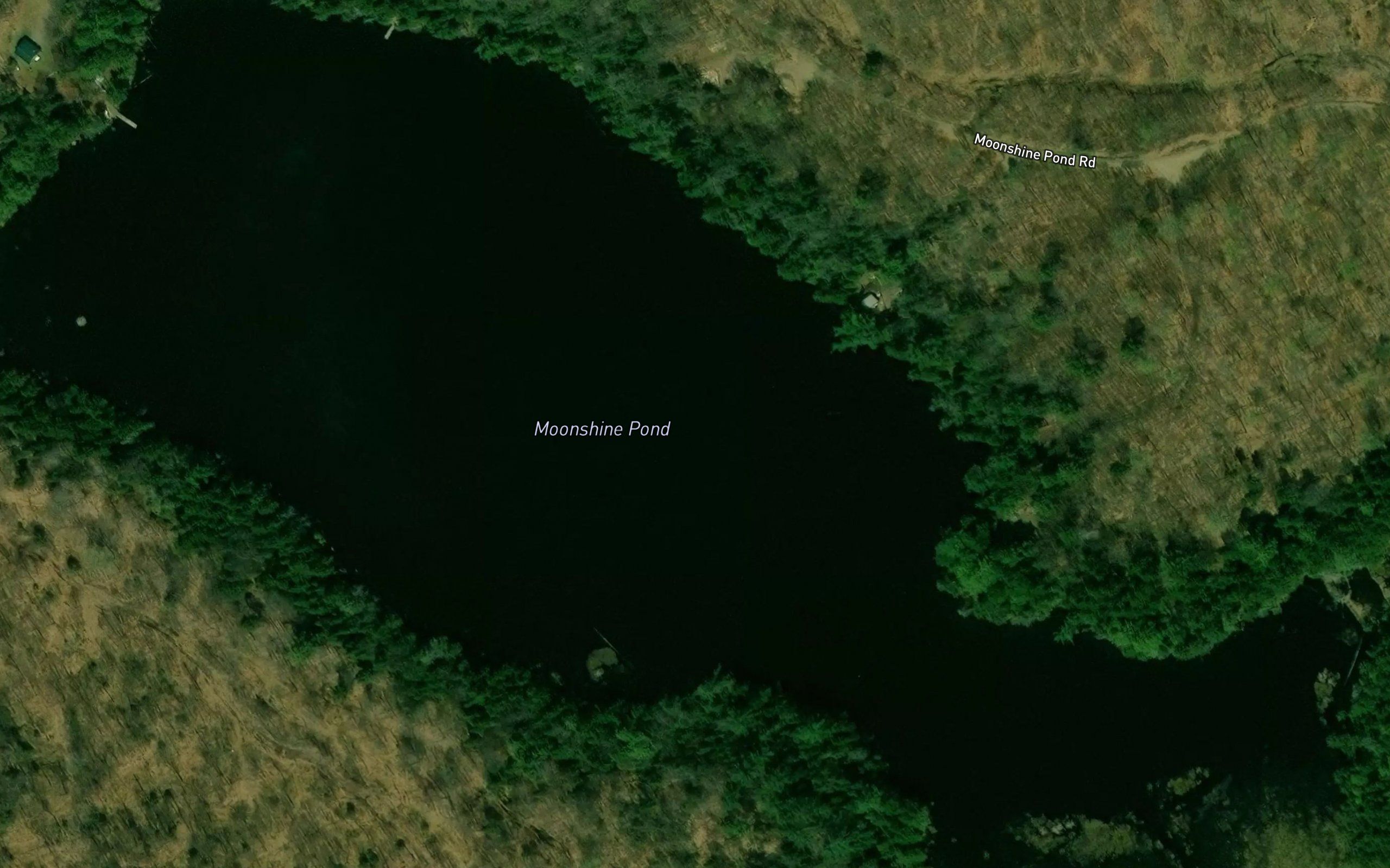 Moonshine Pond