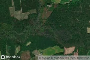 Wildcat Swamp