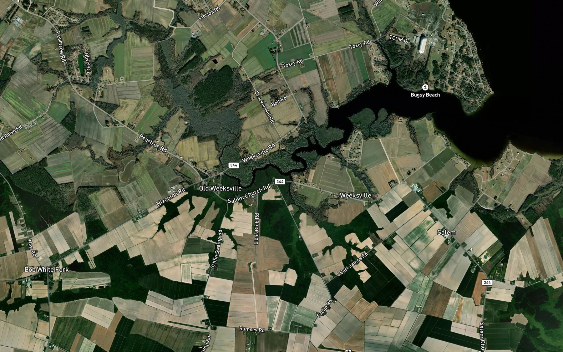 Satellite map of the Wilson Creek