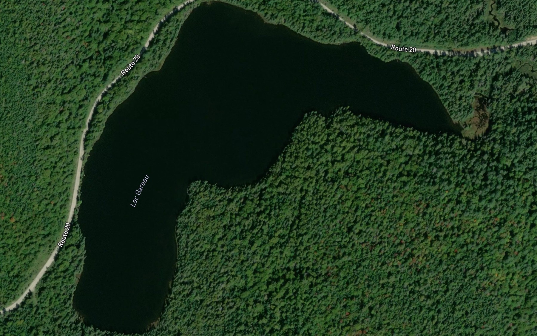 Satellite map of the Lac Gareau