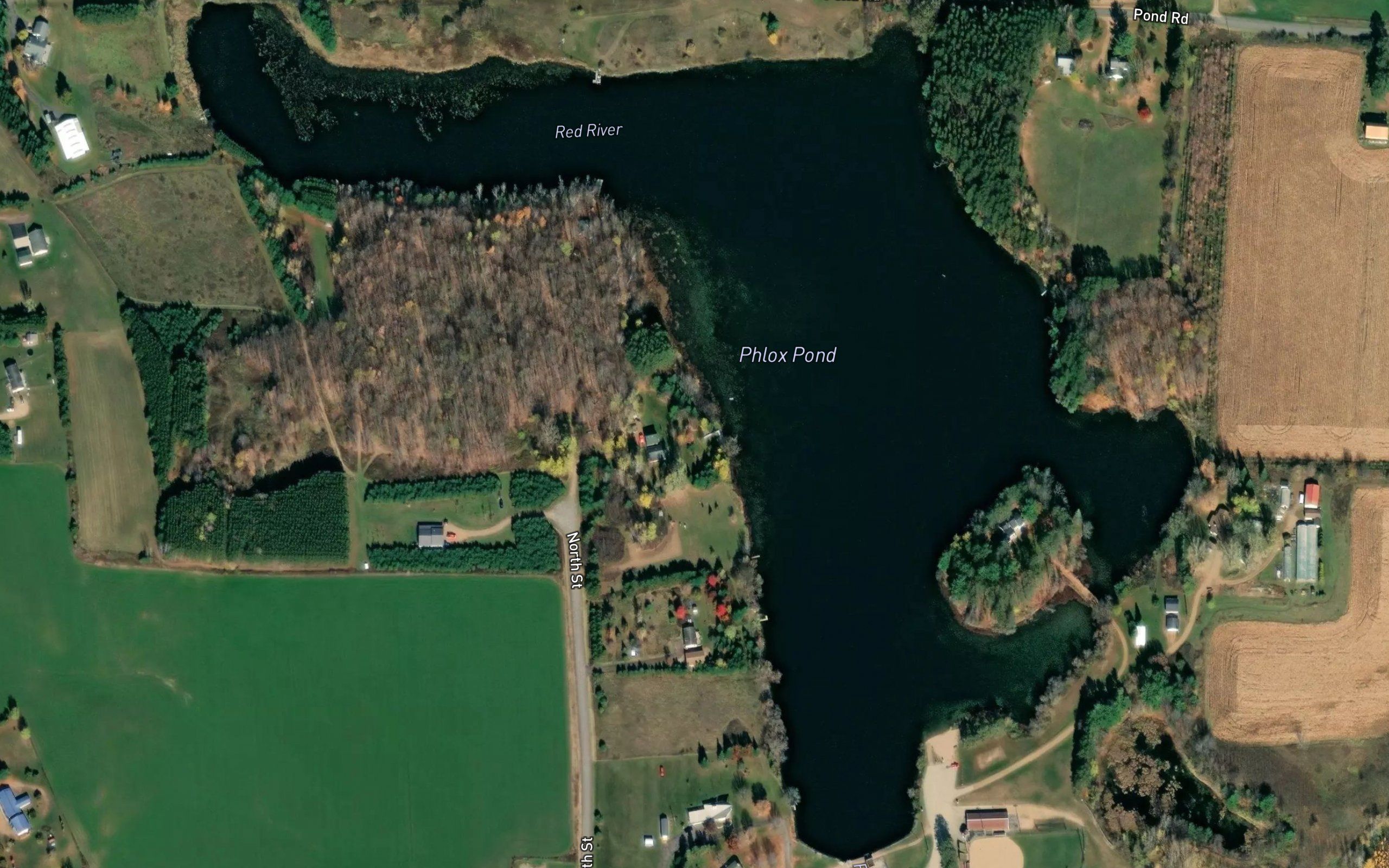 Phlox Lake
